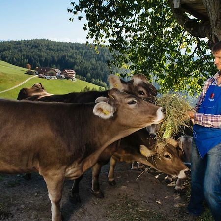 Mair Am Graben Farm * Chalets Теренто Екстер'єр фото