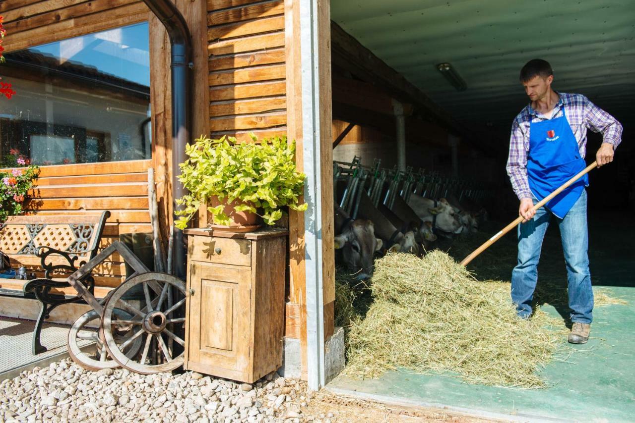 Mair Am Graben Farm * Chalets Теренто Екстер'єр фото