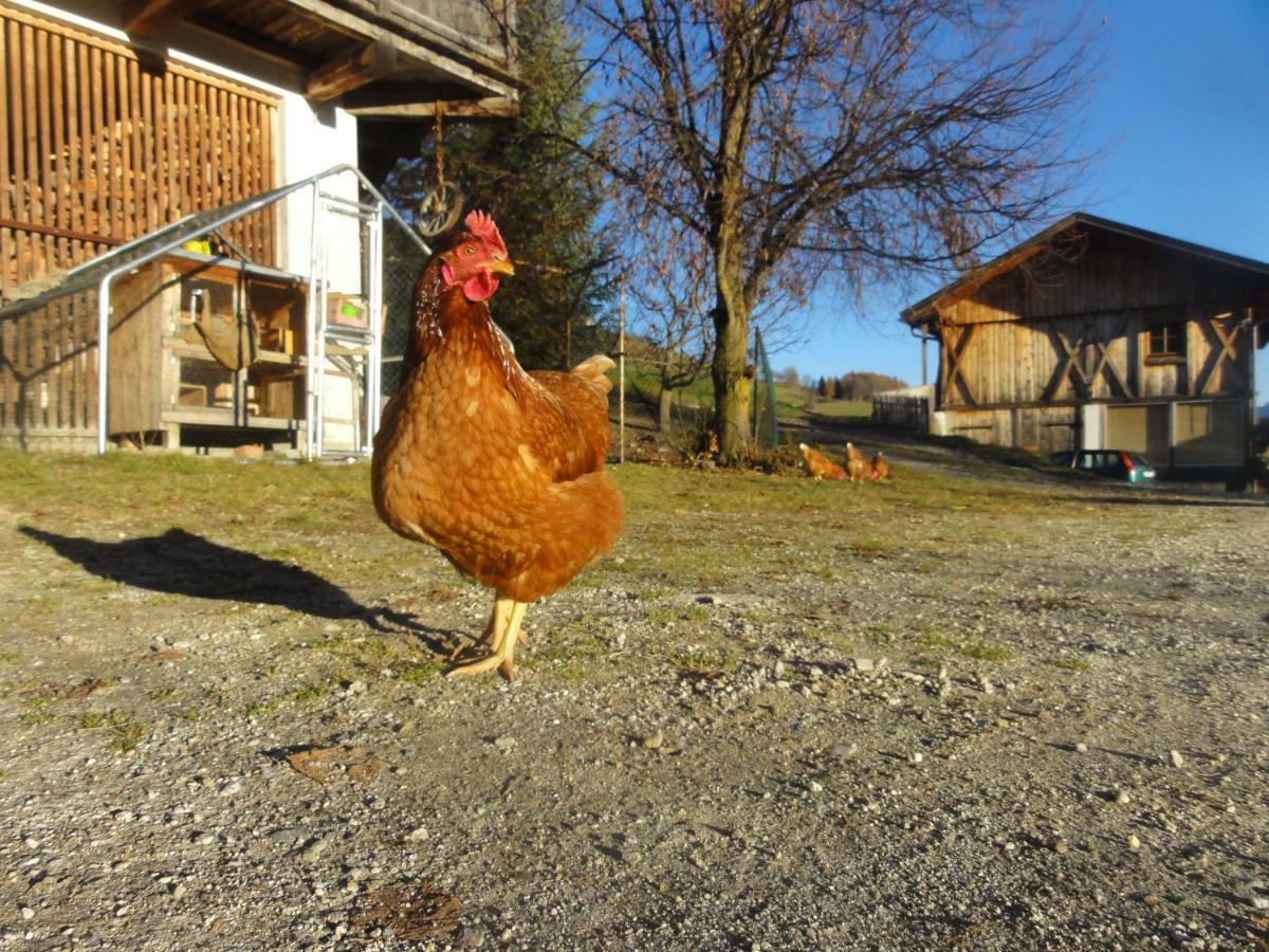 Mair Am Graben Farm * Chalets Теренто Екстер'єр фото